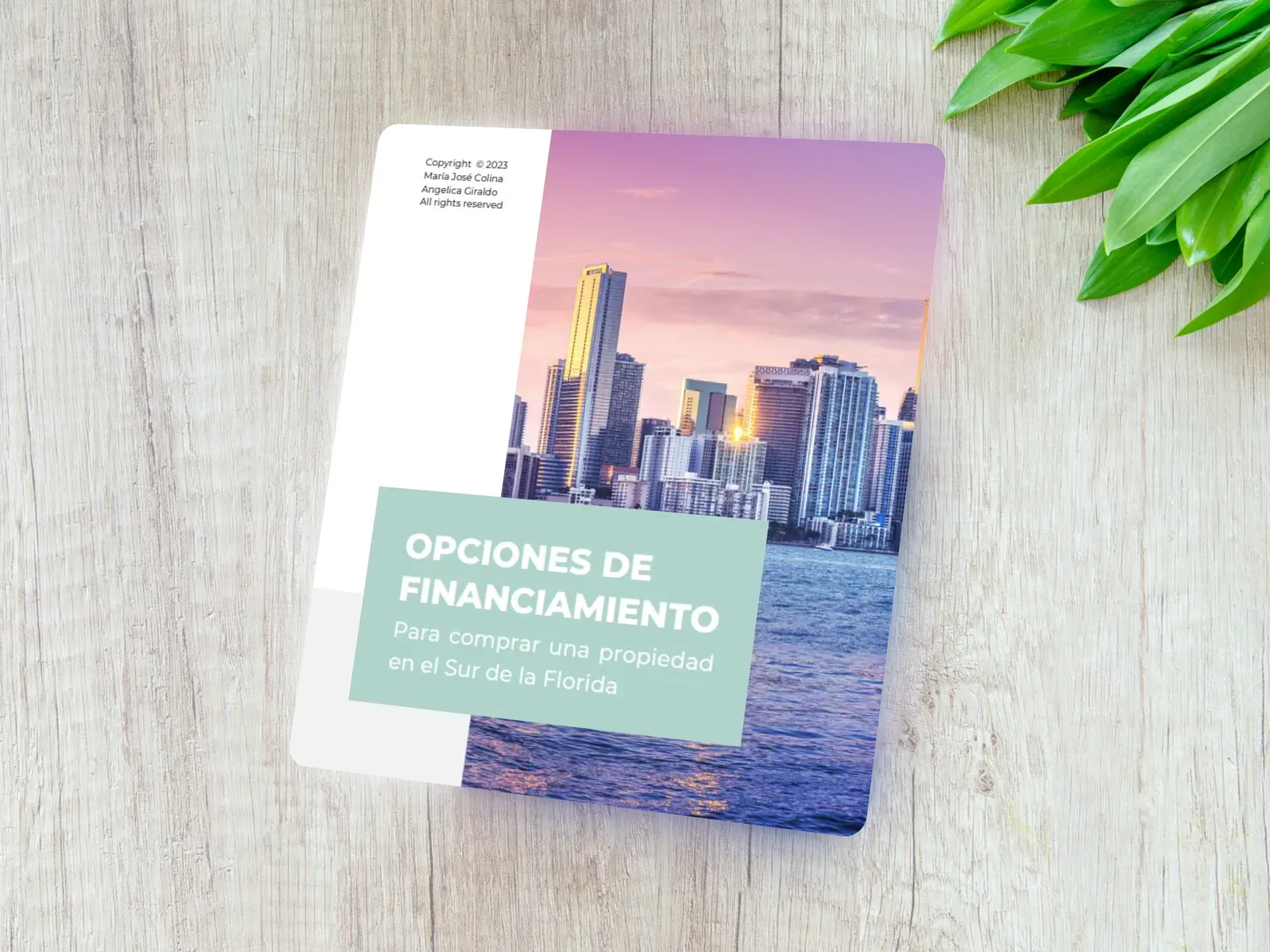 Portada Guía de Financiamiento